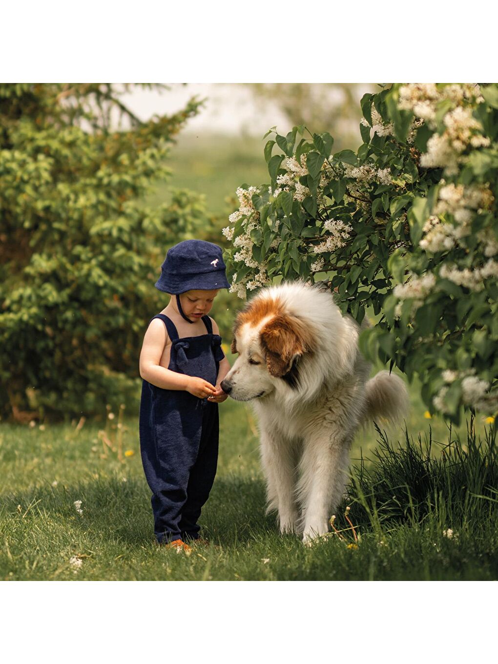 Lacivert Havlu Salopet-2