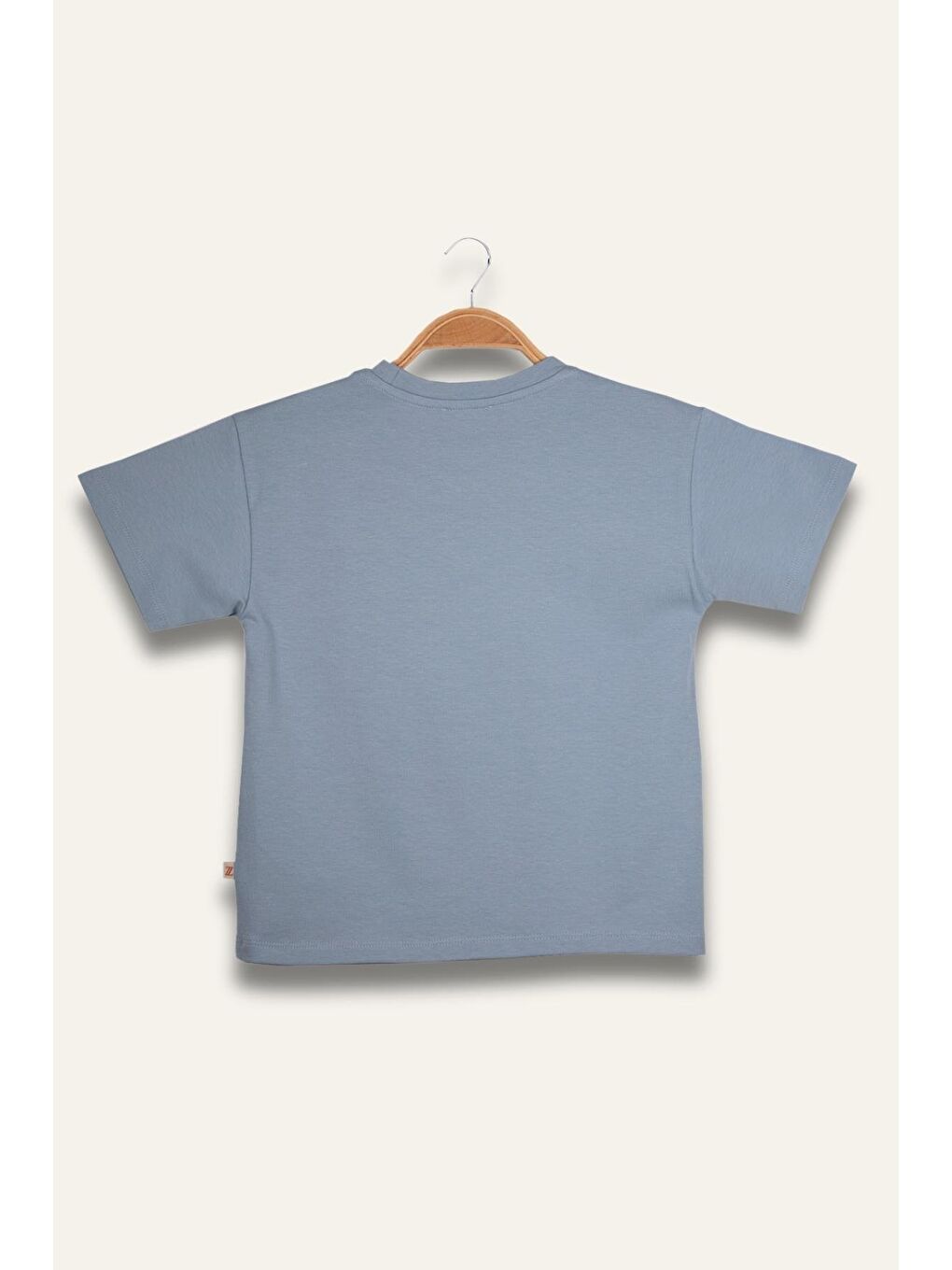 Erkek Çocuk Florida Baskılı T-Shirt - Mavi-1