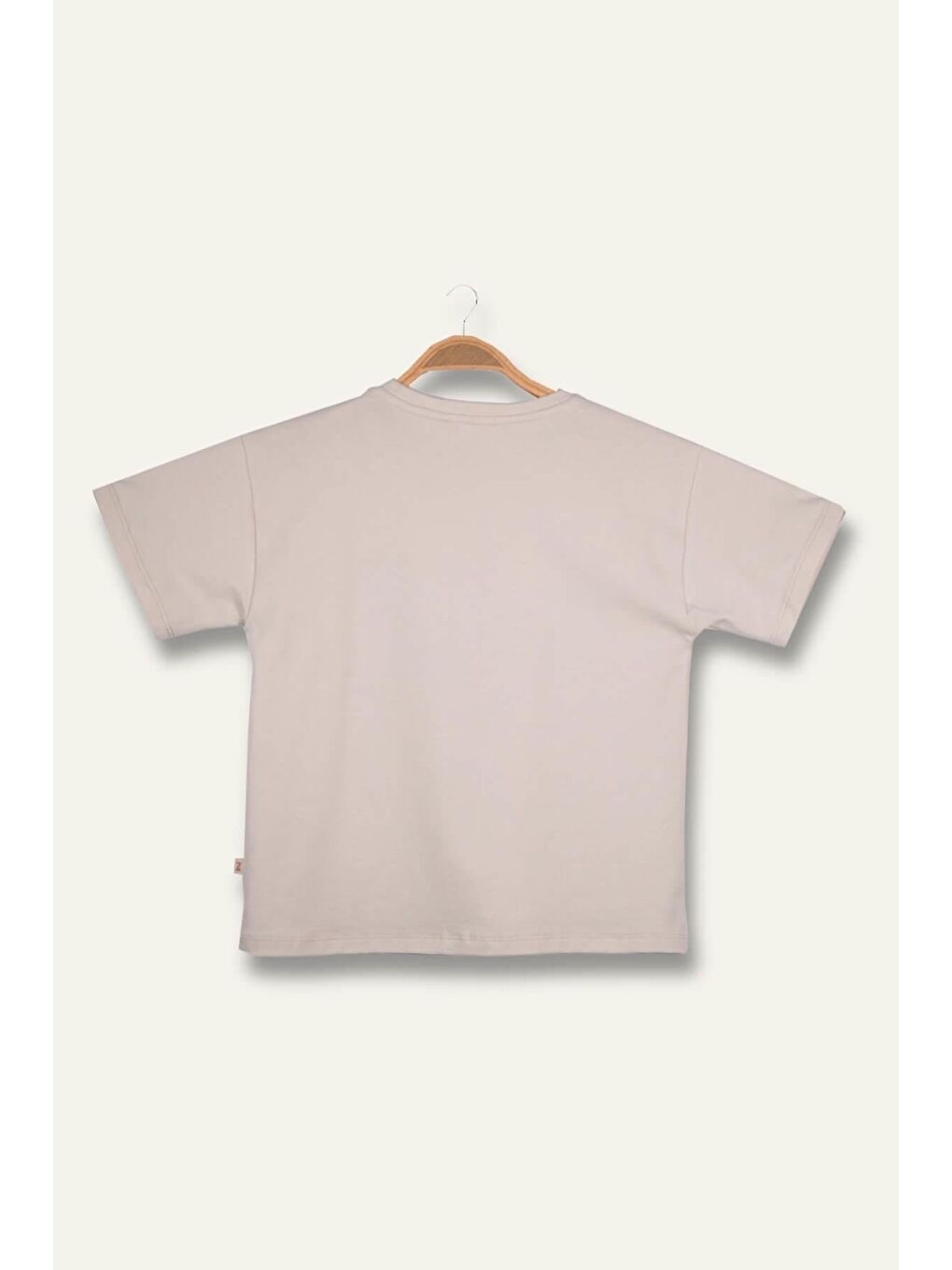 Bej Erkek Çoçuk Sörf Baskılı T-Shirt - Taş Rengi-1