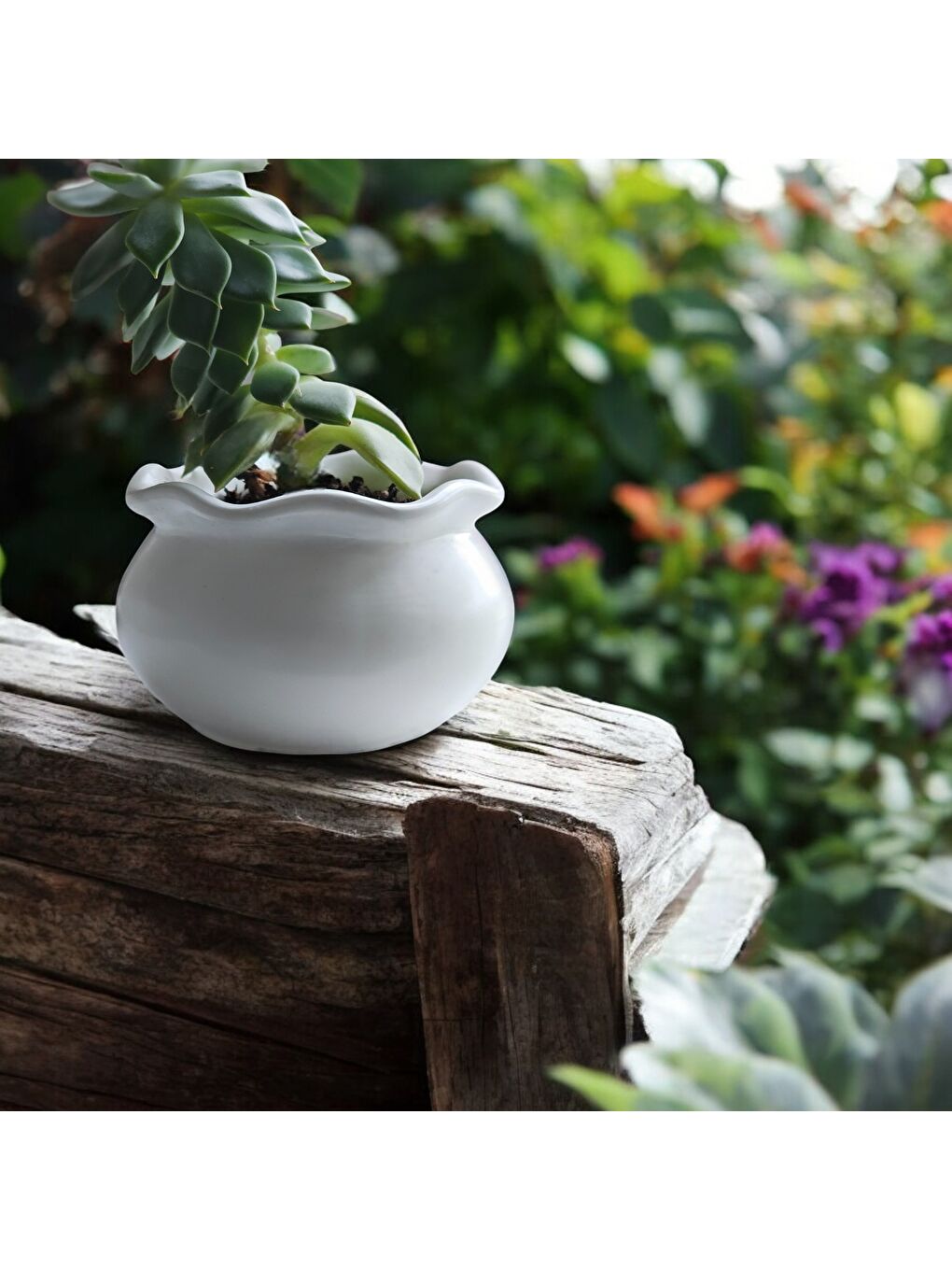 Beyaz Luna Dekoratif 3'lü Mumluk & Saksı Seti-4