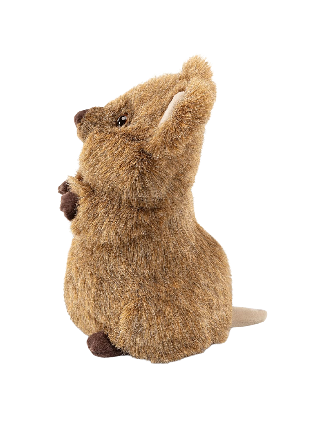 Quokka Arturo Pelüş 27144 S-2