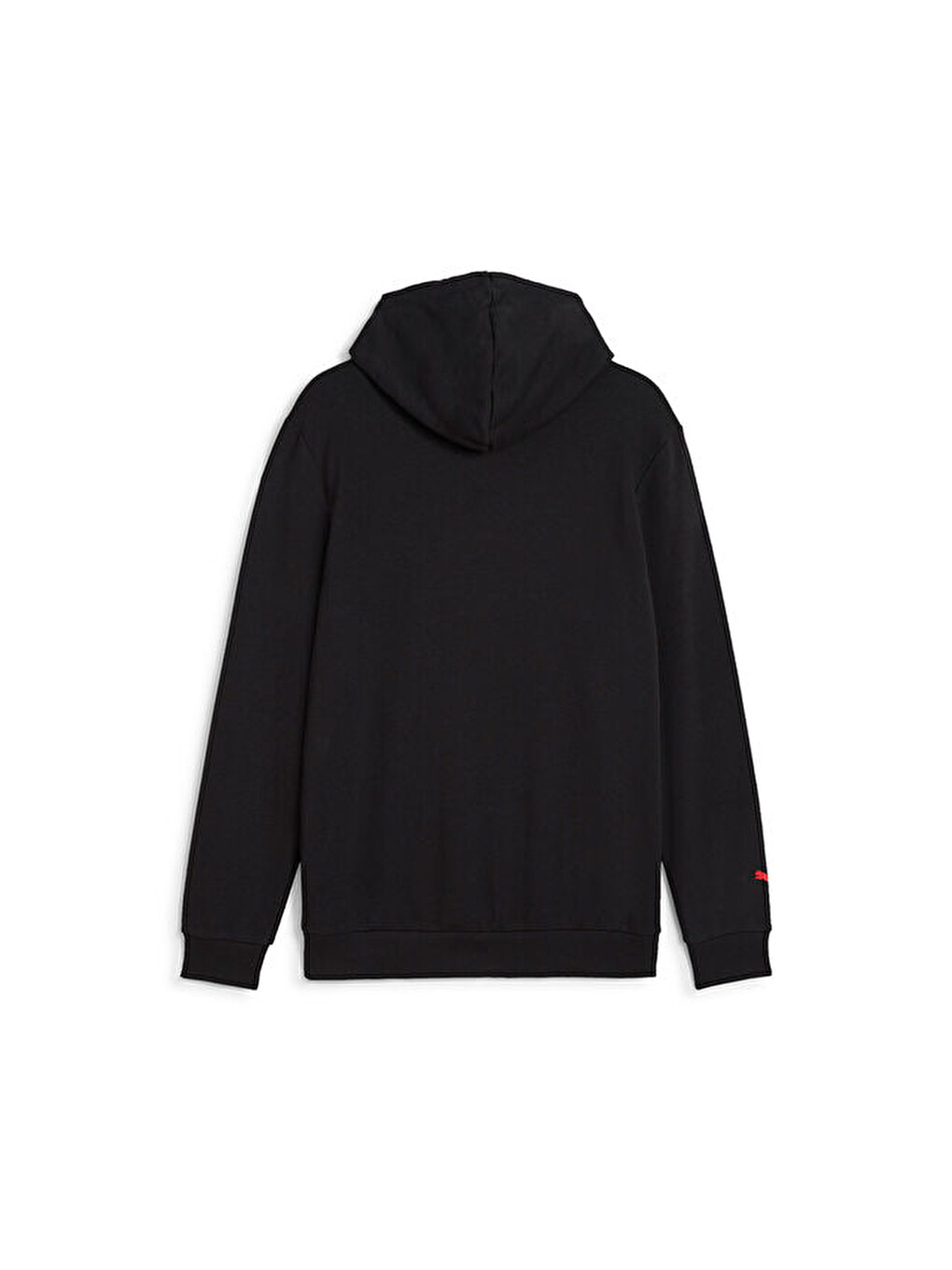 F1 Ess Logo Hoodie Erkek Günlük Sweatshirts 62585301 Siyah-1