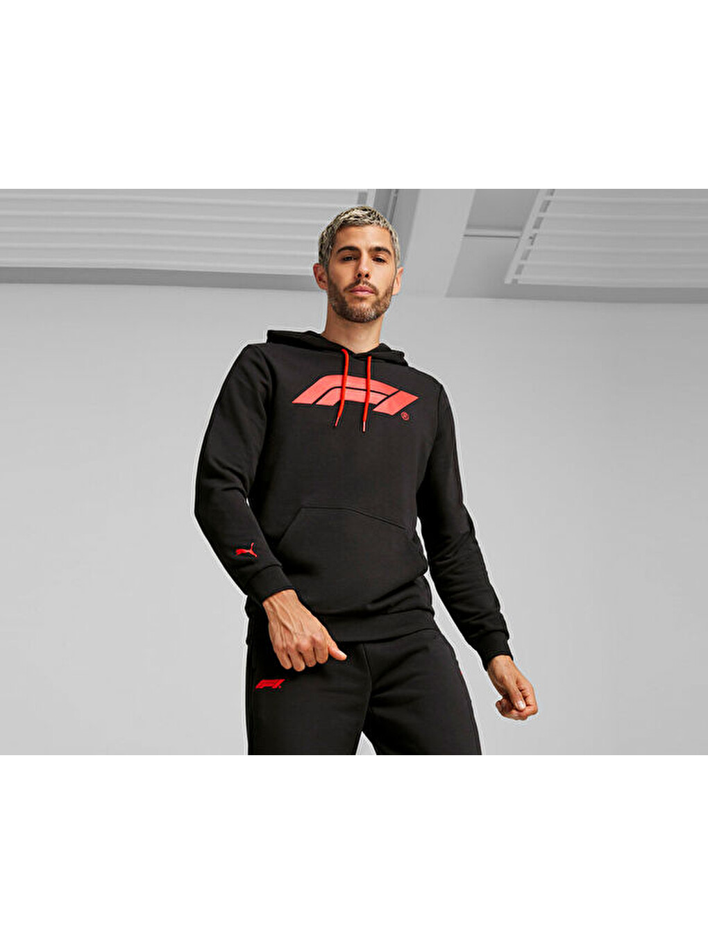 F1 Ess Logo Hoodie Erkek Günlük Sweatshirts 62585301 Siyah-2
