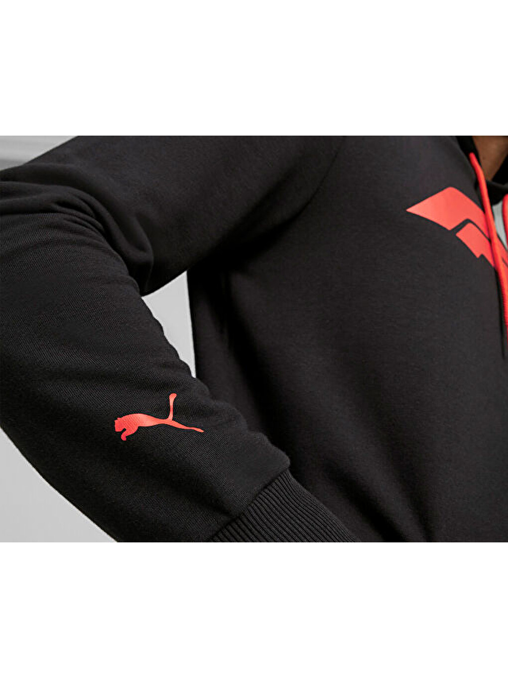 F1 Ess Logo Hoodie Erkek Günlük Sweatshirts 62585301 Siyah-5