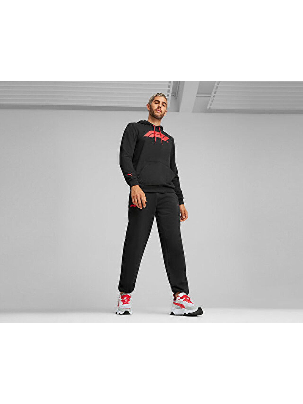 F1 Ess Logo Hoodie Erkek Günlük Sweatshirts 62585301 Siyah-6