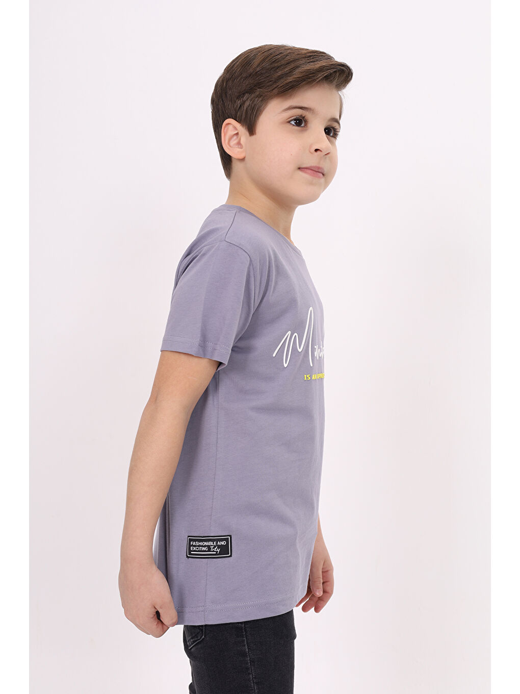 Gri Erkek Çocuk Baskılı Tişört-3