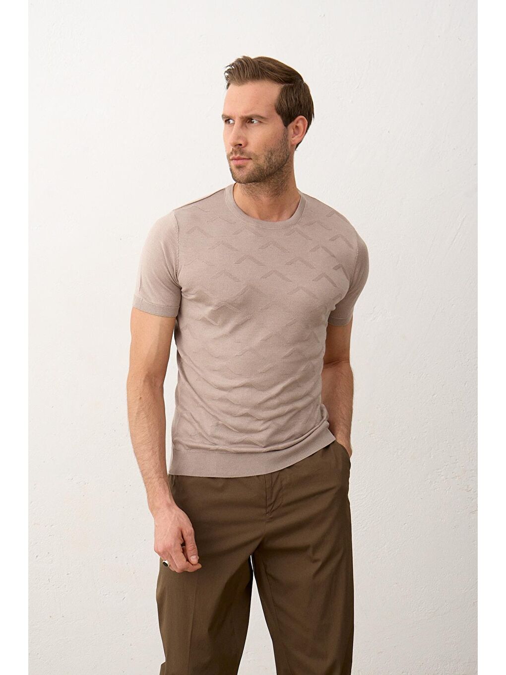 Bej Erkek Bisiklet Yaka Slim-Fit Yazlık Triko Tişört Vizon