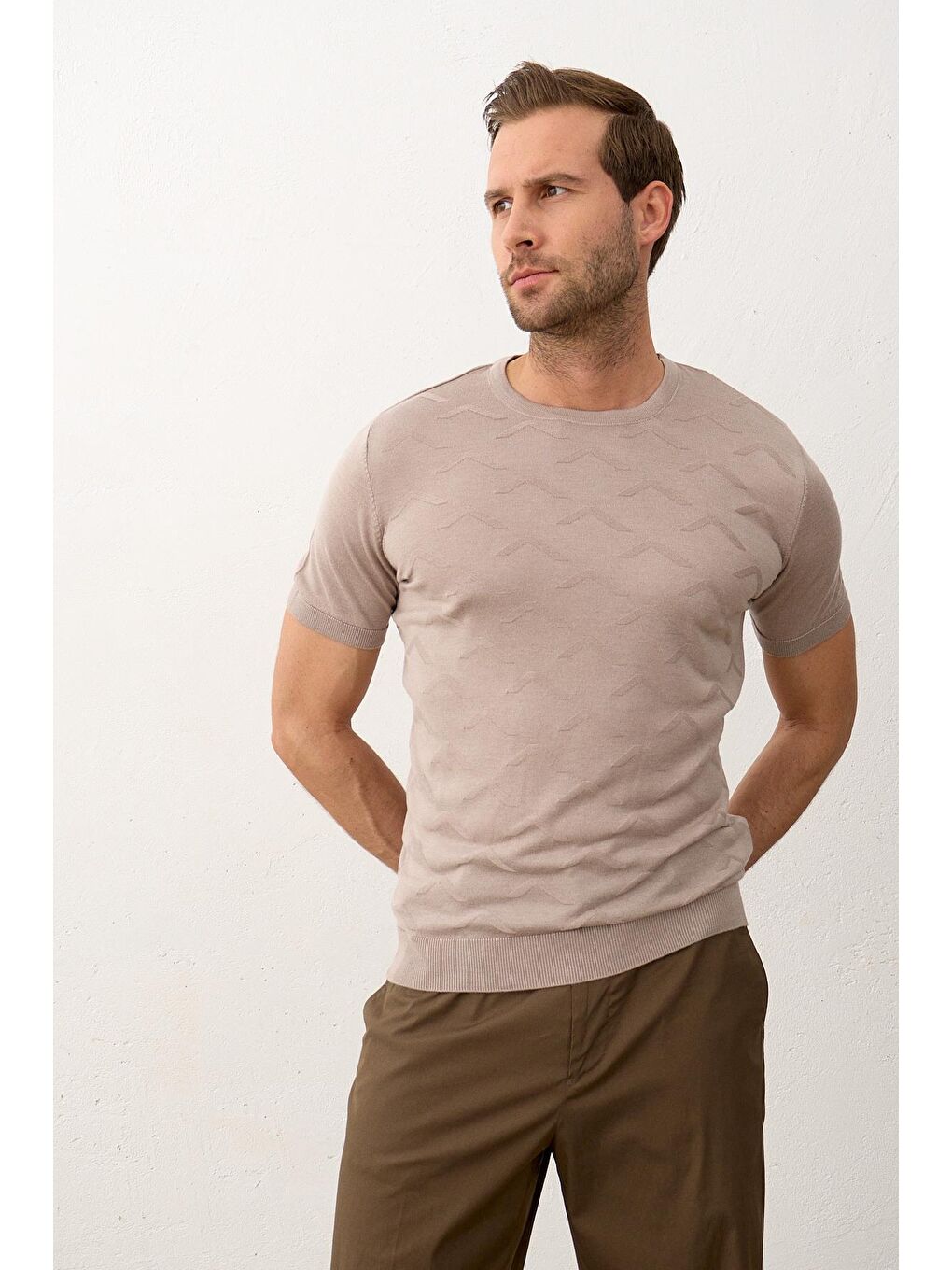 Bej Erkek Bisiklet Yaka Slim-Fit Yazlık Triko Tişört Vizon-2