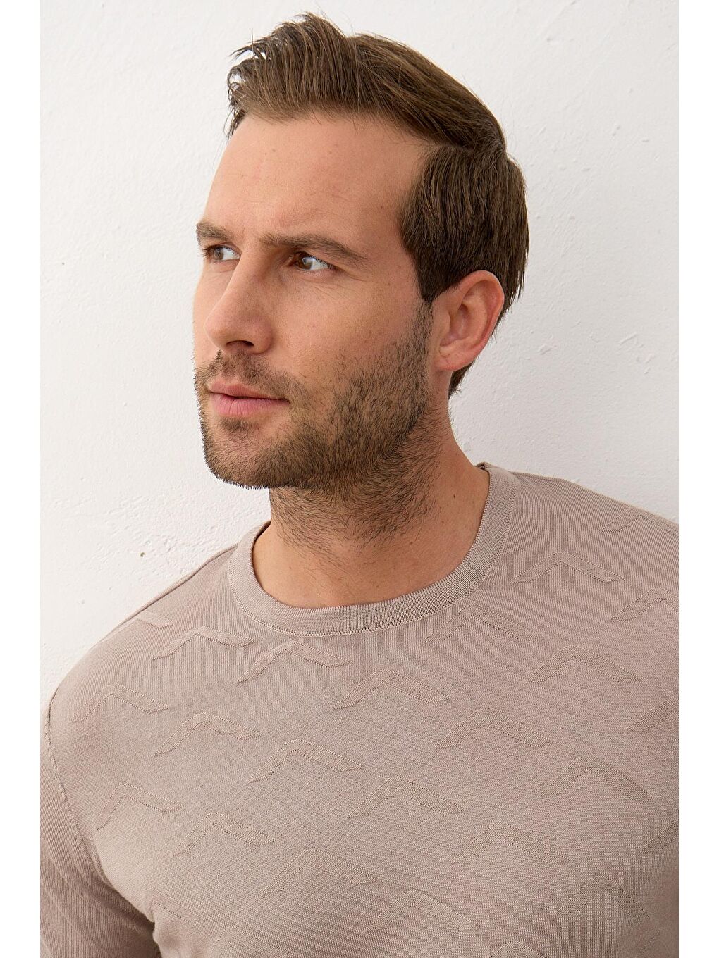 Bej Erkek Bisiklet Yaka Slim-Fit Yazlık Triko Tişört Vizon-6