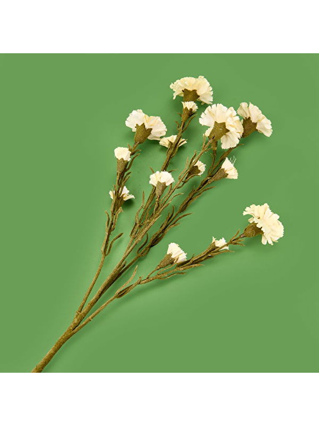 Ekru Deco Kranfil Dal Çiçek - Krem - 68 cm-2