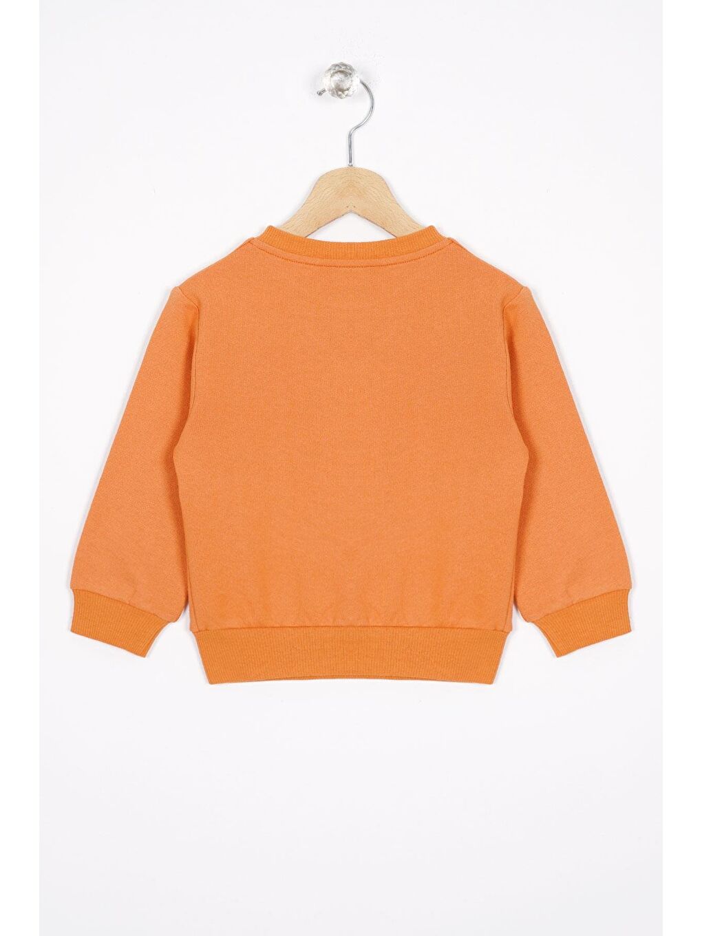 Kahverengi Basket Topu Nakışlı Kiremit Renk Erkek Çocuk Sweatshirt-2