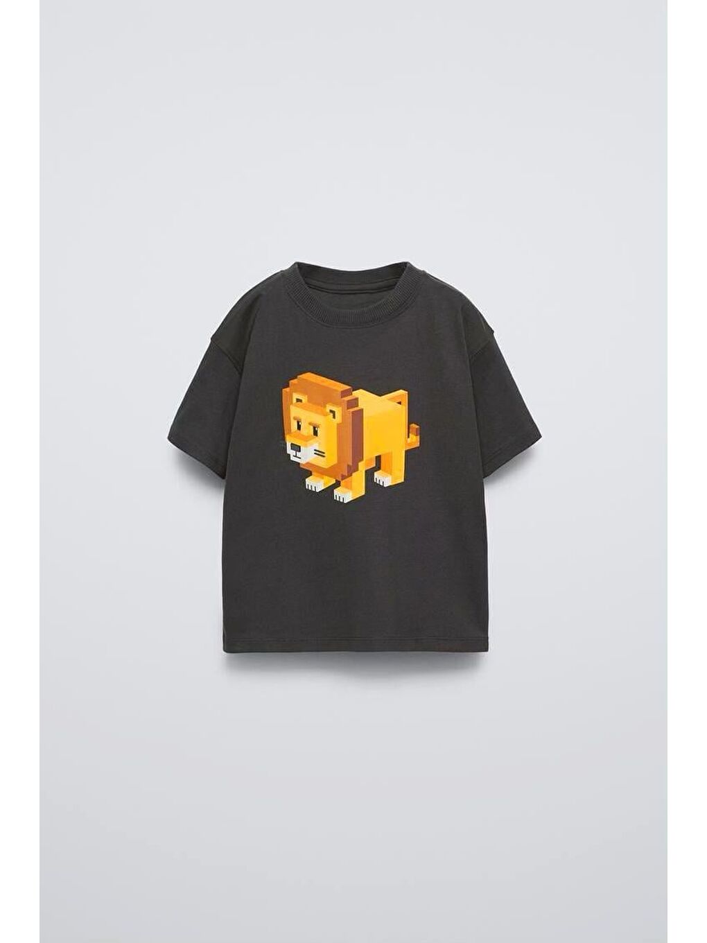 Karışık Erkek Çocuk Pamuklu Siyah Aslan Baskılı T-Shirt Turuncu Çizgili Şort Takım - 2'Li Günlük Set-2