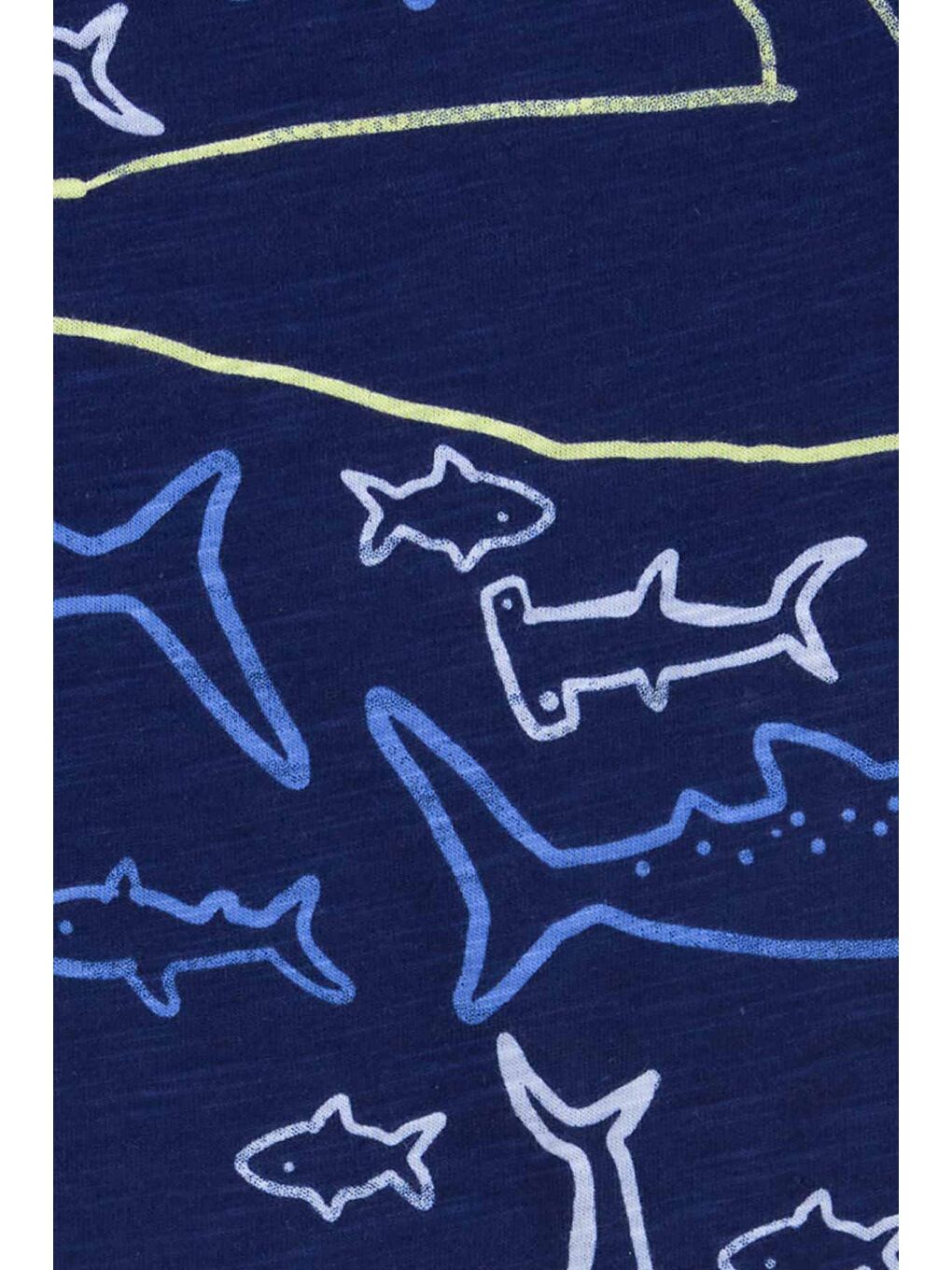 Karışık Erkek Bebek 3Lü Set-2