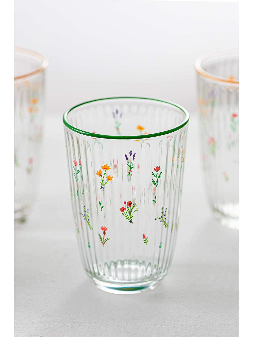 Renksiz Botanical 4'lü Meşrubat Bardağı Seti 395 cc-3