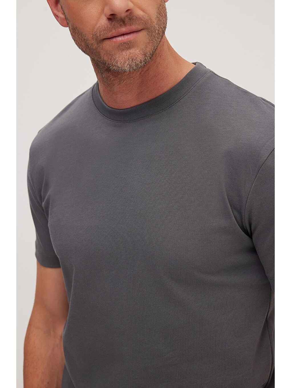 Gri Erkek Regular Fit Klasik Kesim %100 Pamuk Bisiklet Yaka Füme Tişört-2