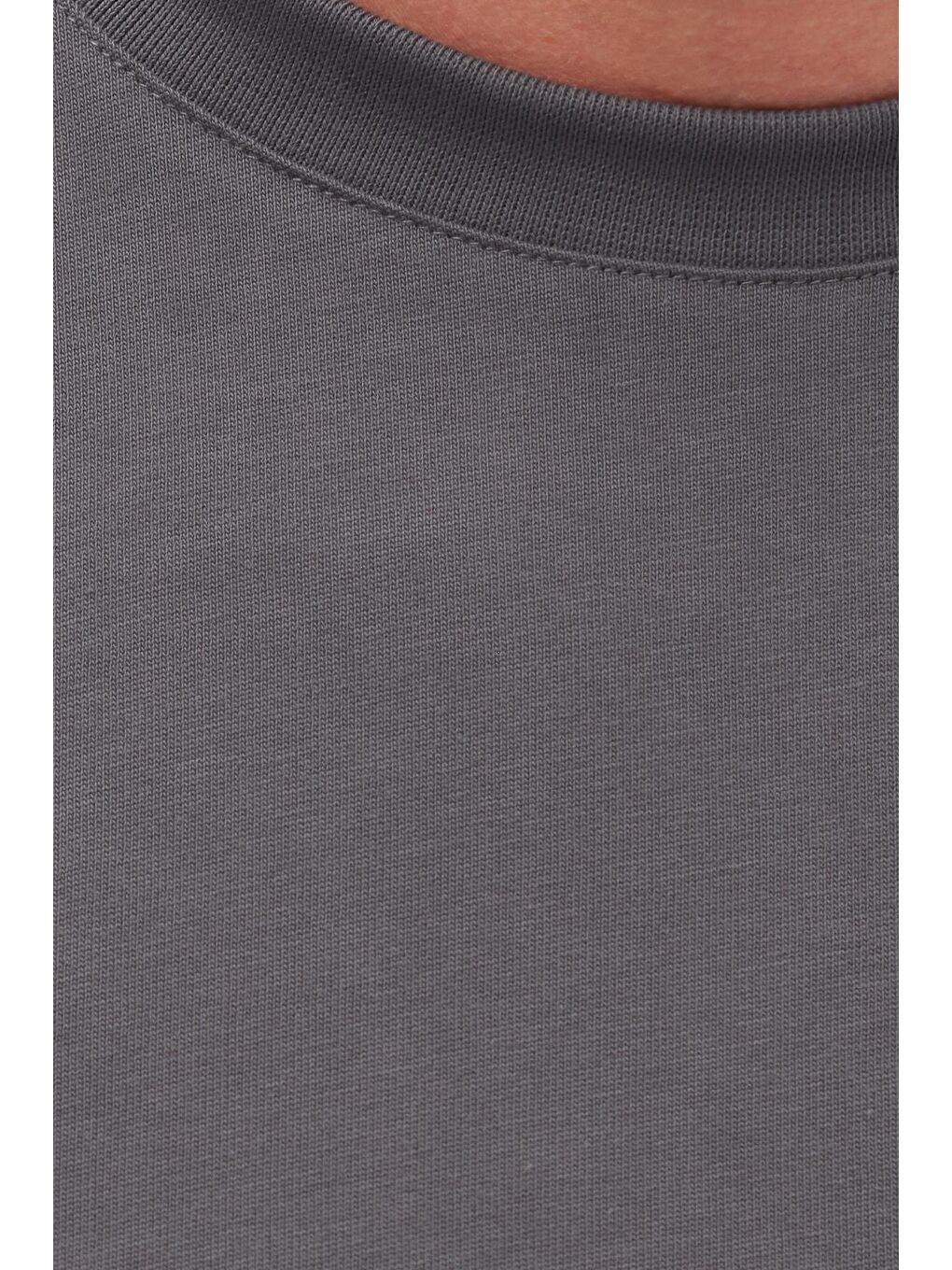 Gri Erkek Regular Fit Klasik Kesim %100 Pamuk Bisiklet Yaka Füme Tişört-5