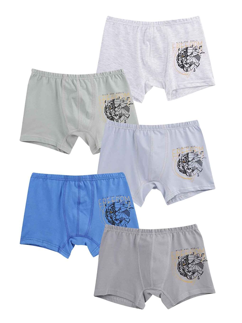 Domikids Karişik Erkek Çocuk Pamuklu Boxer 5'li Paket - 1