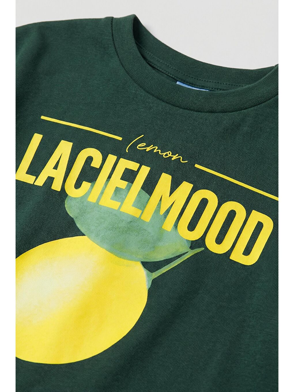 Çocuk Pamuklu Koyu Yeşil Limon Baskılı T-Shirt Şort Takım - Yazlık Spor Kombin-4