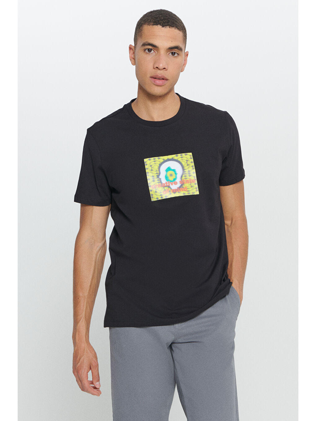Erkek Siyah Standart Fit Normal Kesim %100 Pamuk Baskılı Bisiklet Yaka Tişört-2