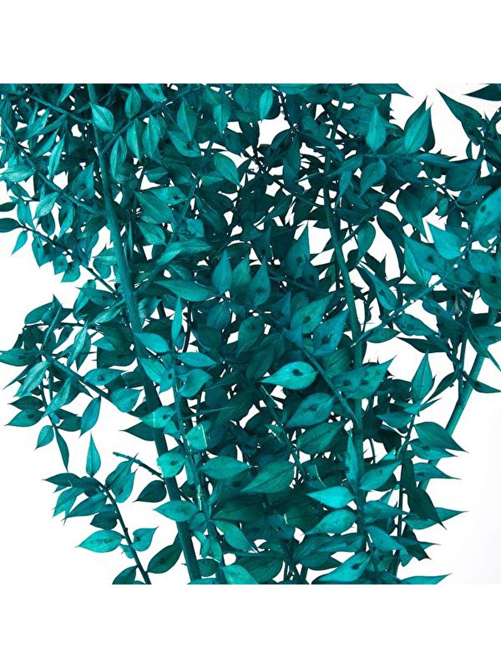 Deco Ruscus Yapay Çiçek - Yeşil - 50x20 cm-1