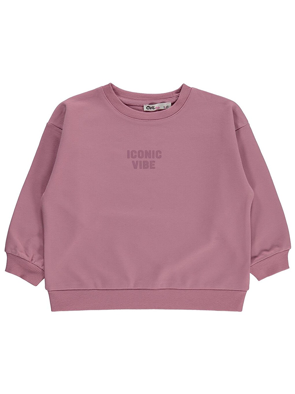 Girls Basic 2-5 Yaş Sweatshirt - Pembe