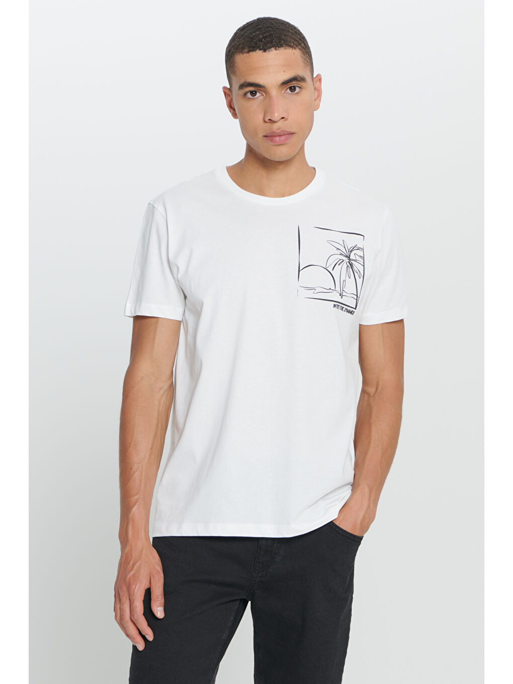 Erkek Ekru Standart Fit Normal Kesim %100 Pamuk Bisiklet Yaka Baskılı Tişört-2