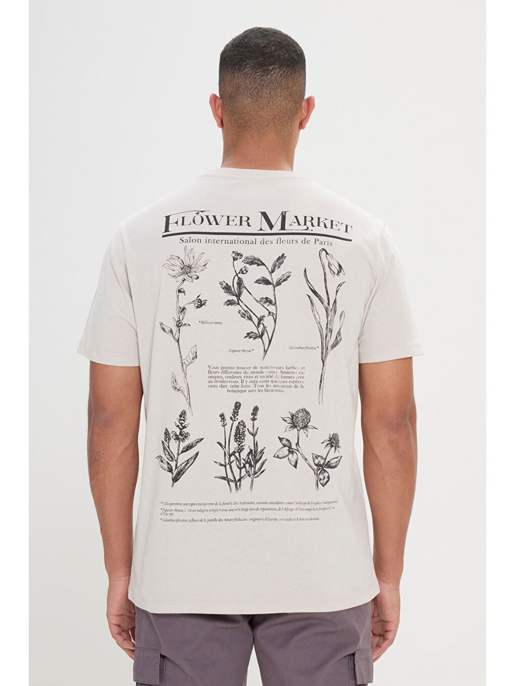 Bej Erkek Taş Comfort Fit Rahat Kesim %100 Pamuk Bisiklet Yaka Tişört-1