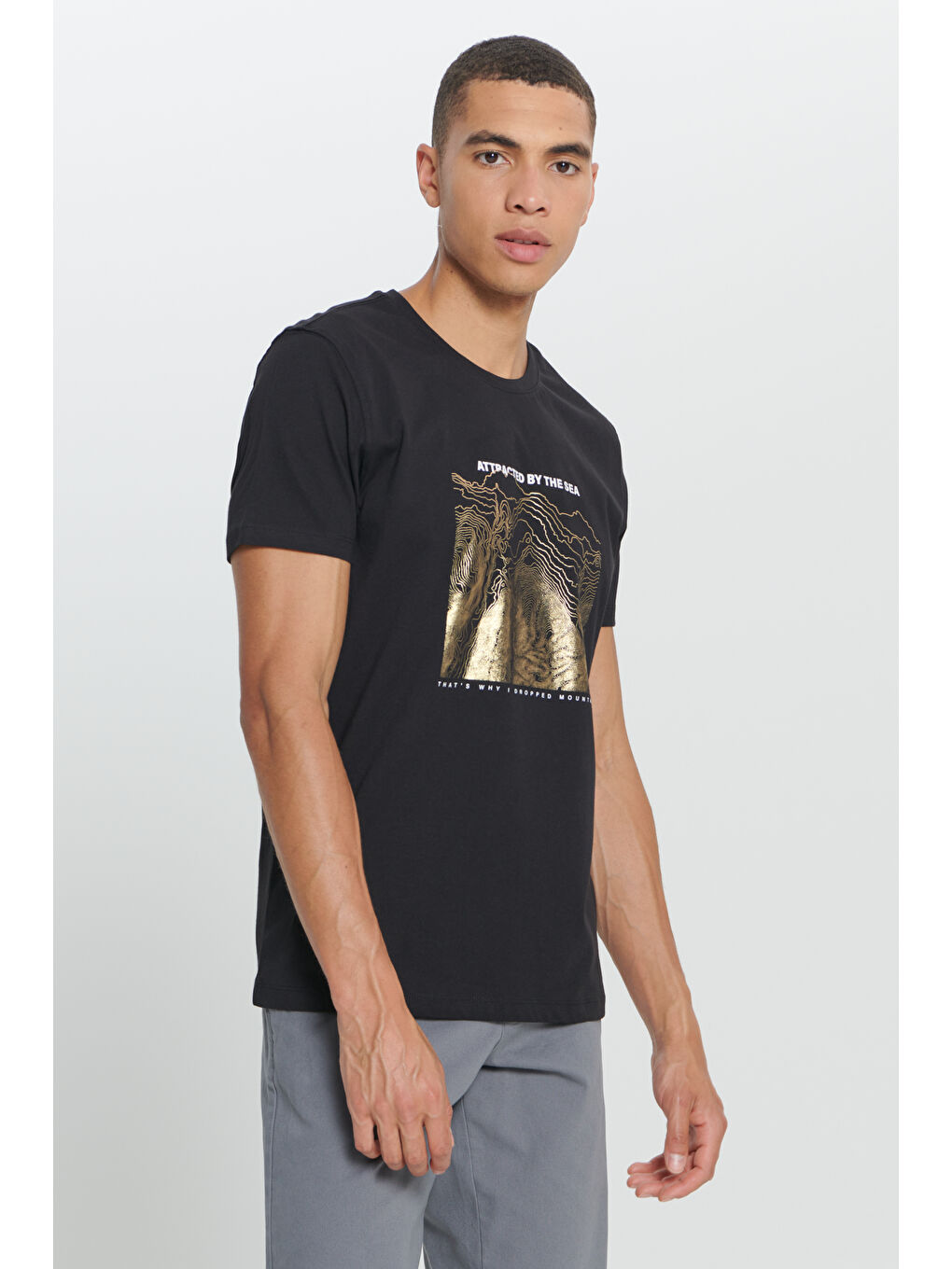 Erkek Siyah Standart Fit Normal Kesim %100 Pamuk Baskılı Bisiklet Yaka Tişört-2