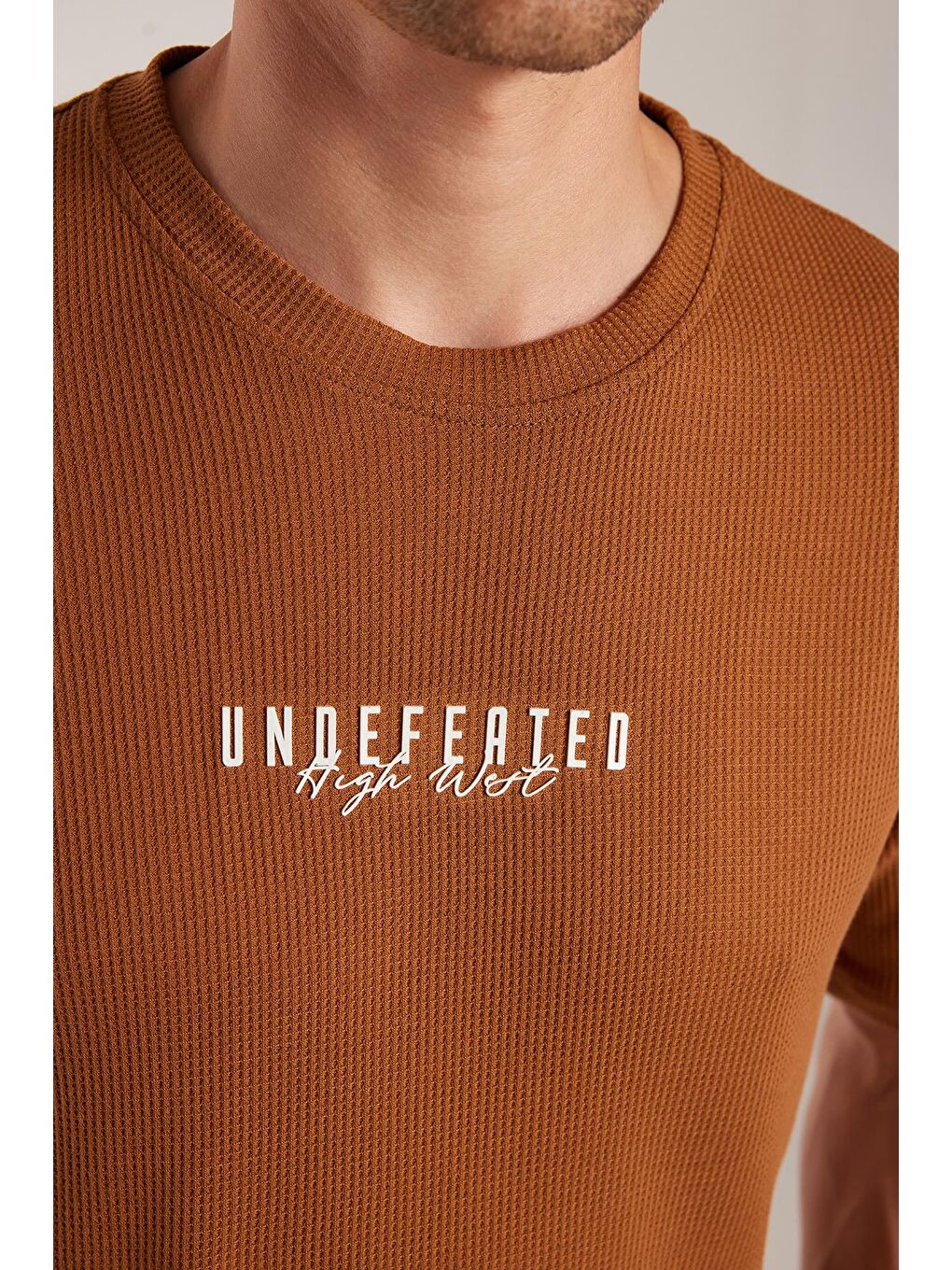 Kahverengi Erkek Standart Fit Pamuklu Düz Basic Bisiklet Yaka Baskılı Tarçın Tişört-3