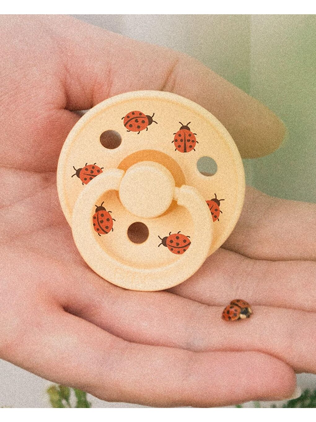 Studio Colour Ladybug Friends Emzik-P.Butter-0-6 Ay-3