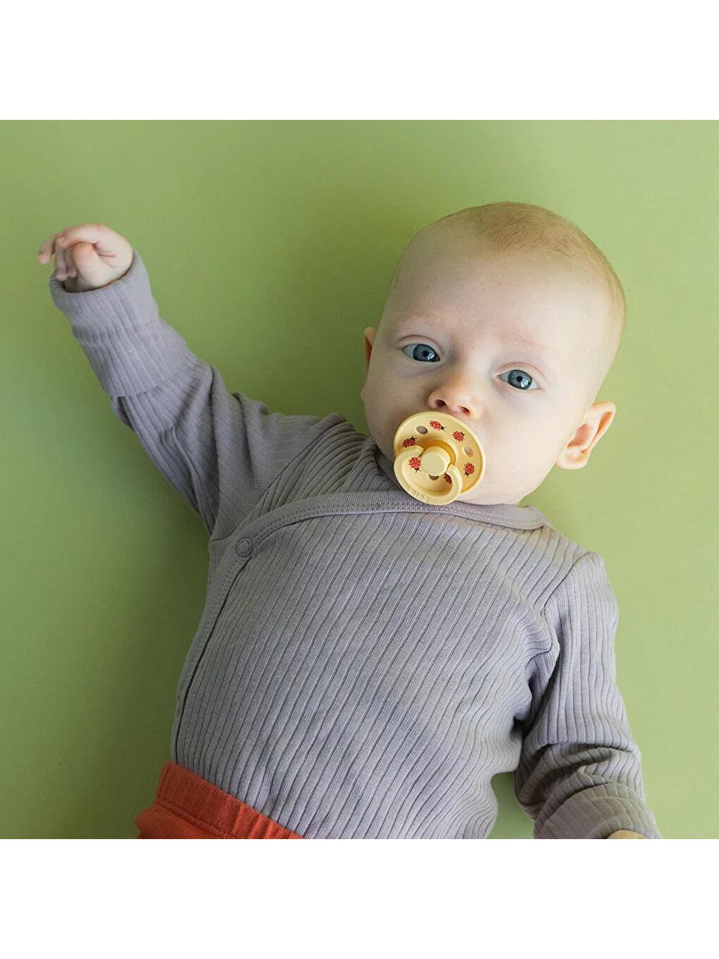 Studio Colour Ladybug Friends Emzik-P.Butter-0-6 Ay-4