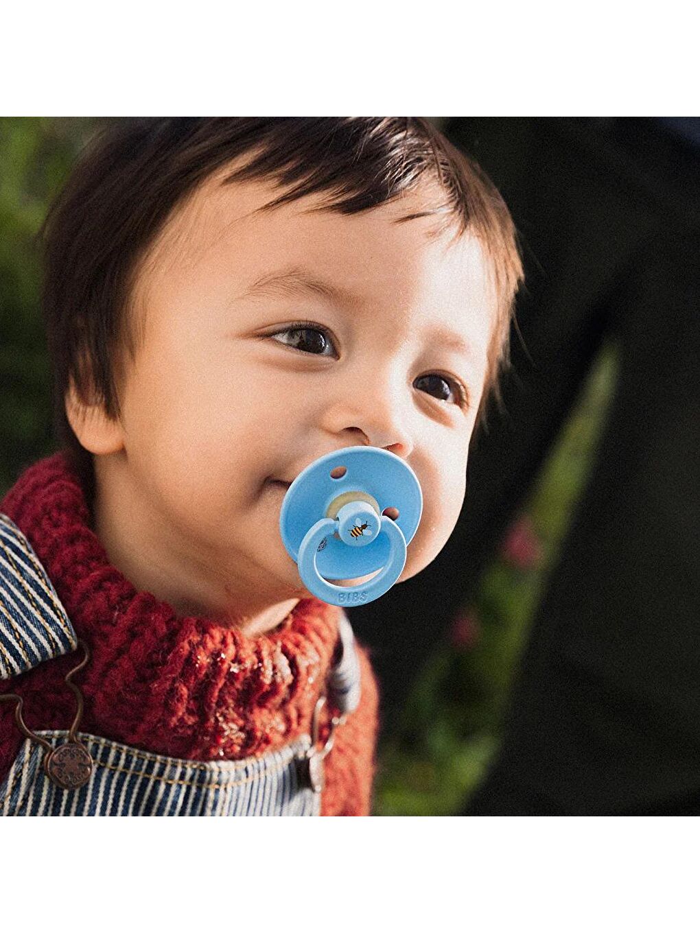 Studio Colour Bumblebee Emzik-Breeze-0-6 Ay-5