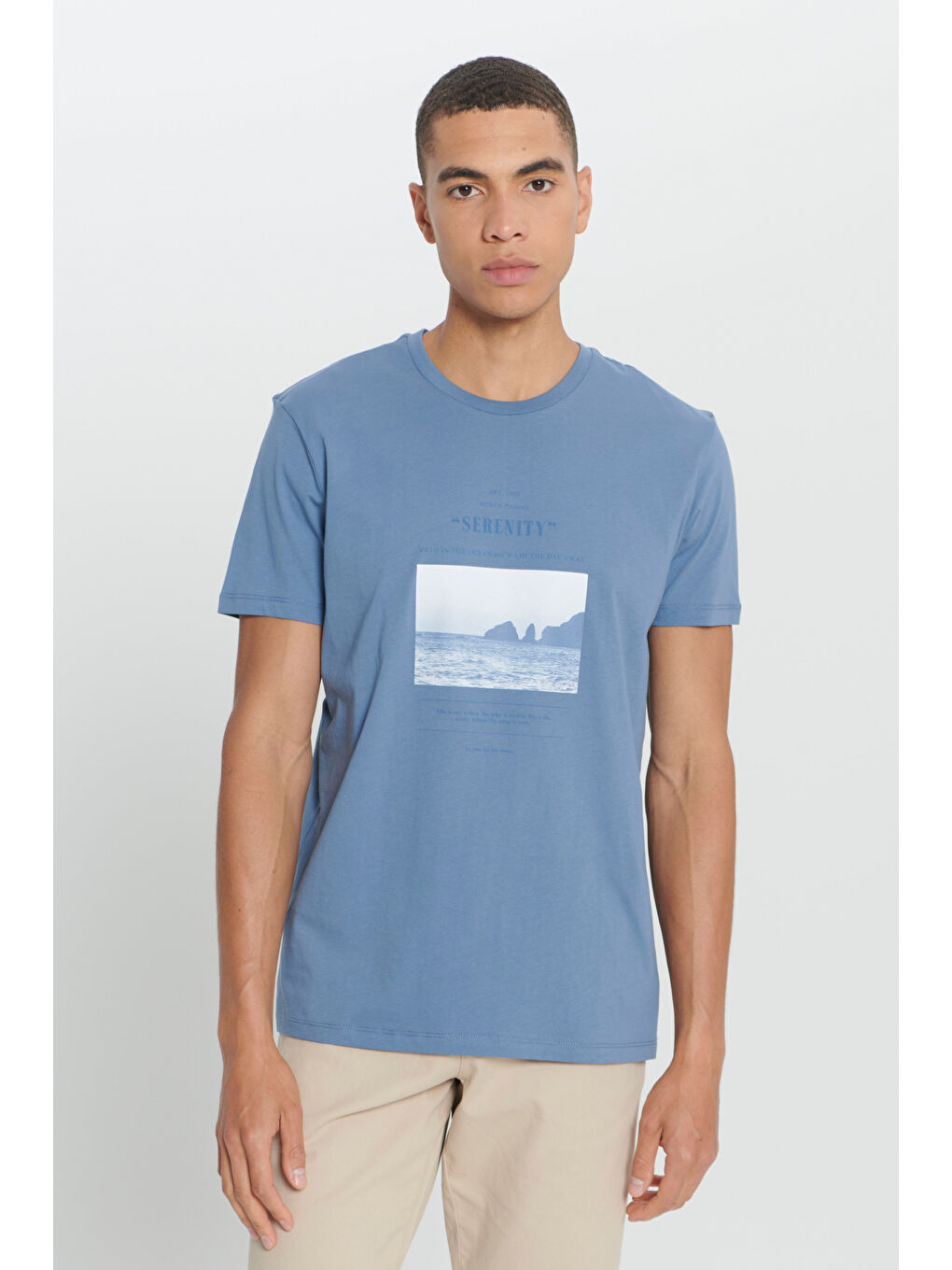 Erkek İndigo Standart Fit Normal Kesim %100 Pamuk Baskılı Bisiklet Yaka Tişört