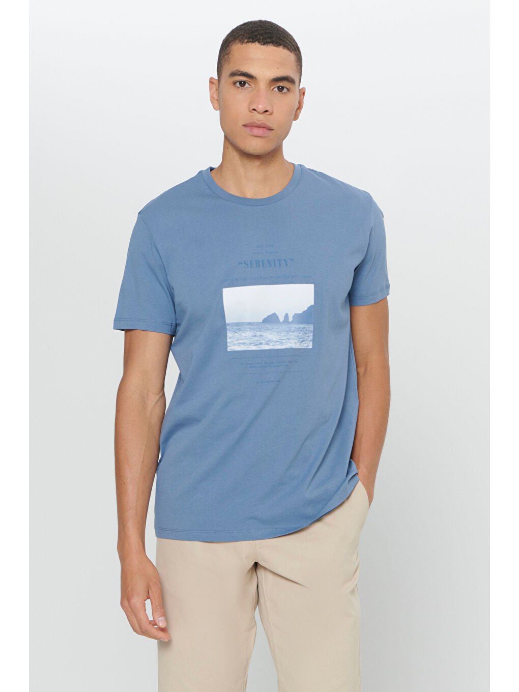 Erkek İndigo Standart Fit Normal Kesim %100 Pamuk Baskılı Bisiklet Yaka Tişört-2