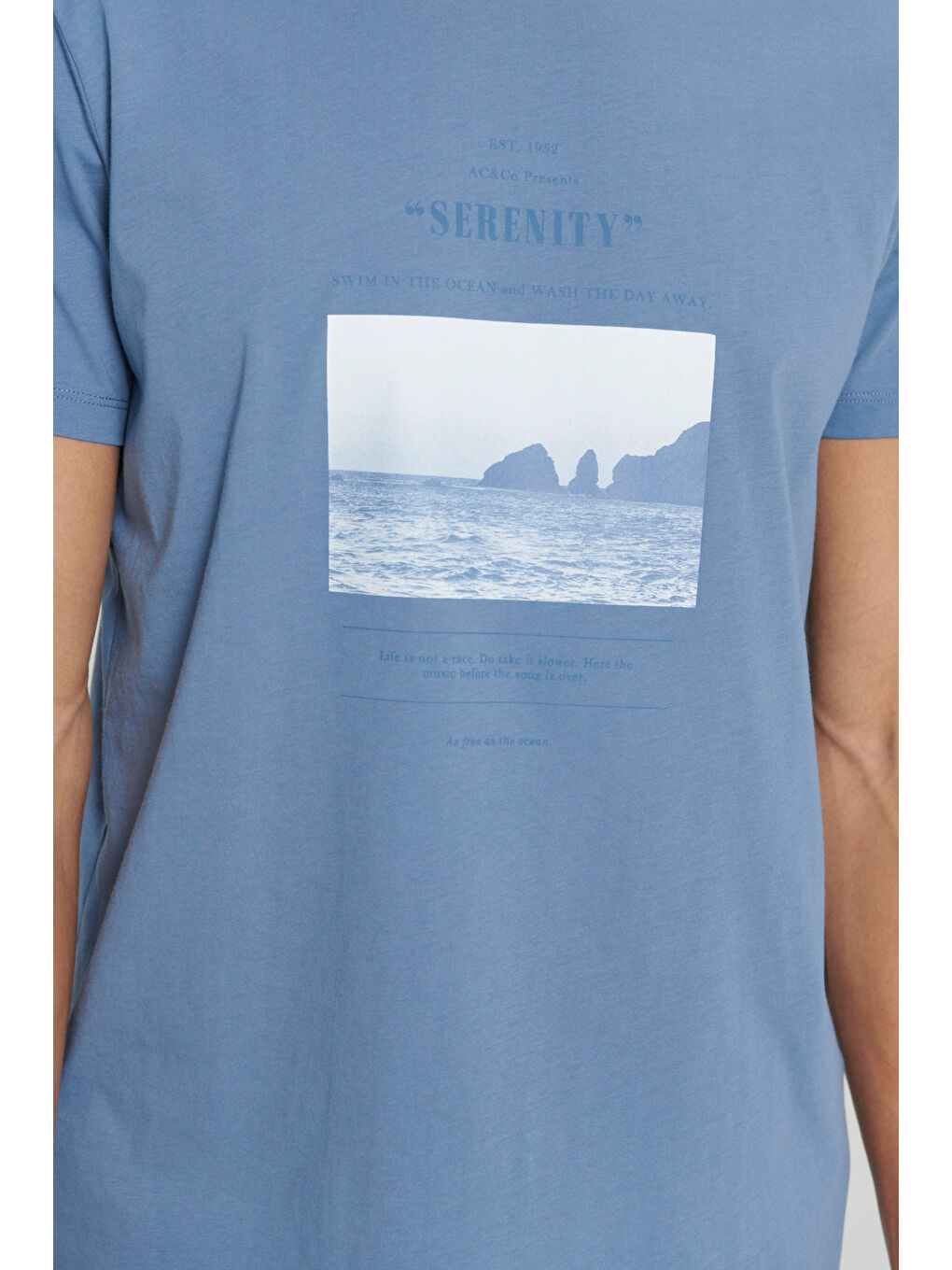 Erkek İndigo Standart Fit Normal Kesim %100 Pamuk Baskılı Bisiklet Yaka Tişört-4