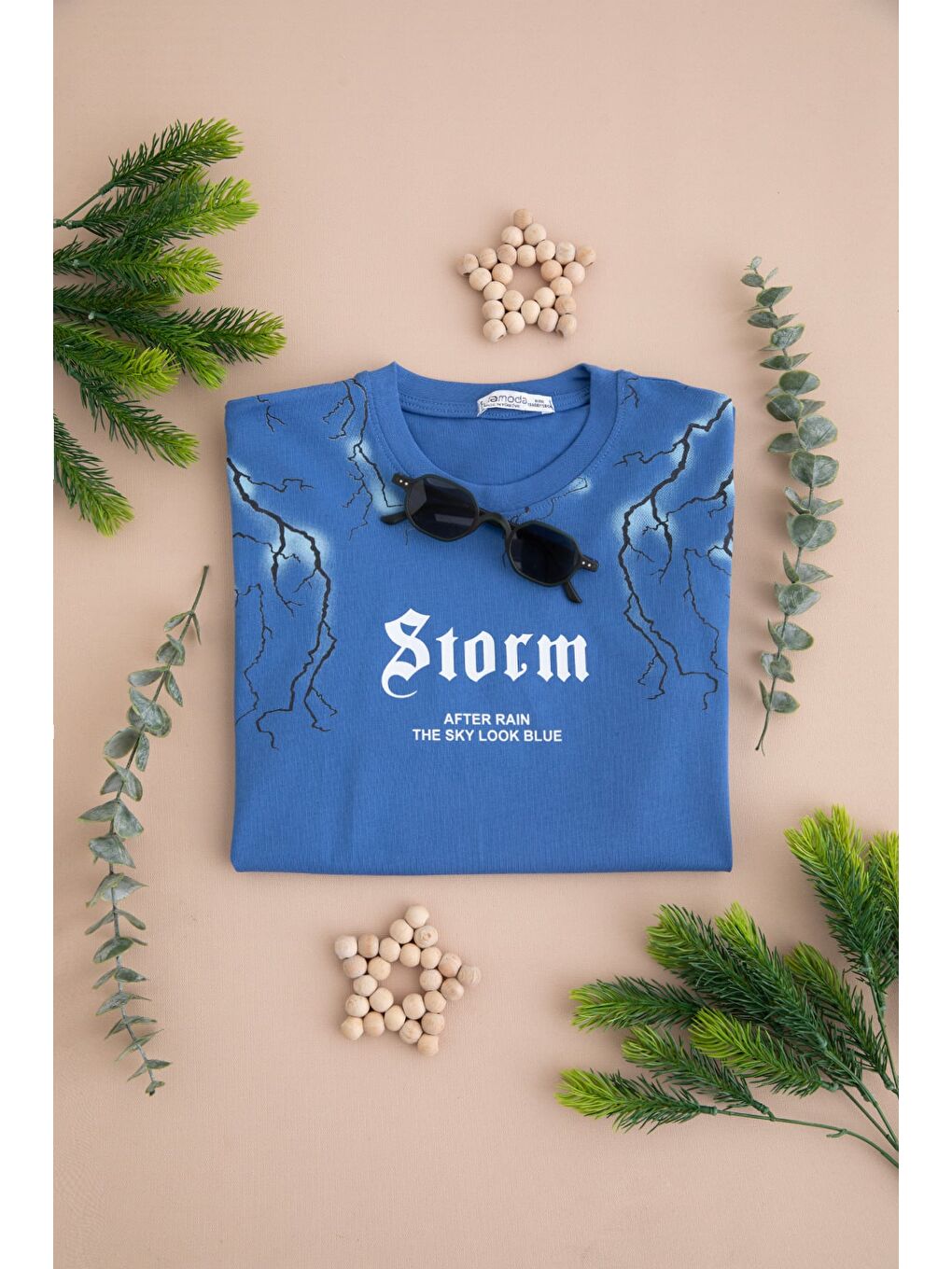 Mavi %100 Pamuk Storm Baskılı Erkek Çocuk Tişört-1