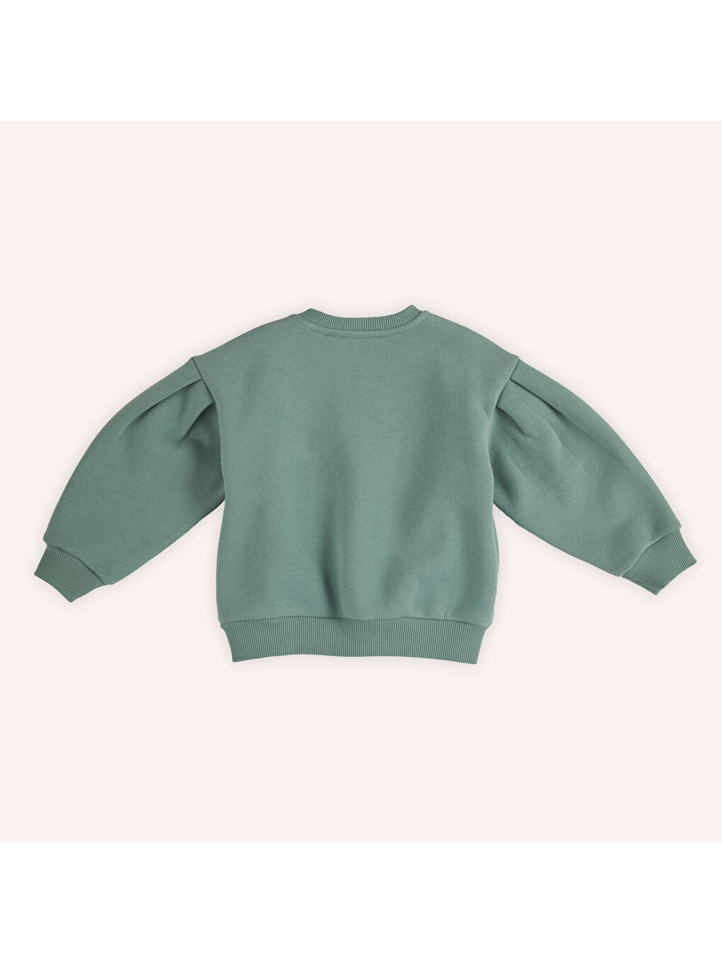 Panço Kız Çocuk Sweatshirt Yeşil - 4