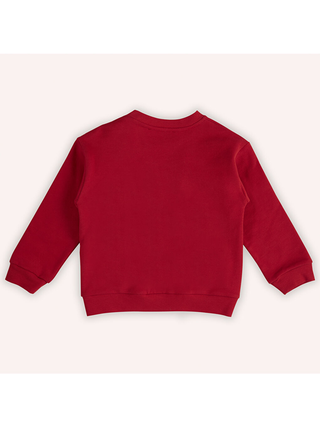 Panço Kırmızı Kız Çocuk Nakış Detaylı Sweatshirt - 6