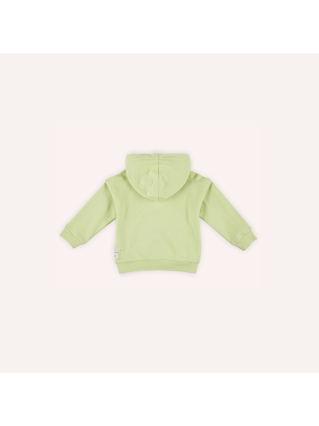 Panço Yeşil Erkek Çocuk Kapüşonlu Sweatshirt - 4