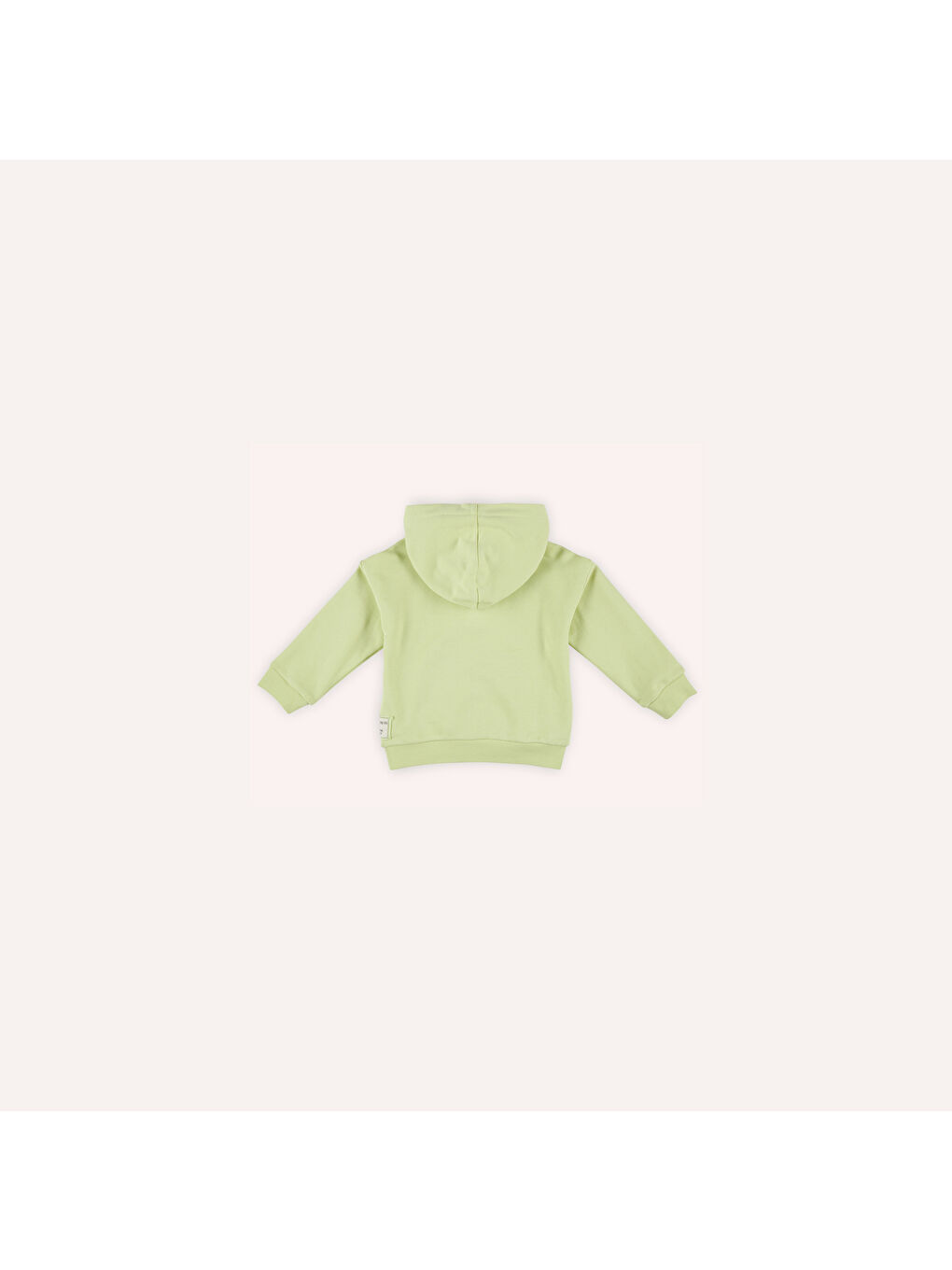 Panço Yeşil Erkek Çocuk Kapüşonlu Sweatshirt - 5
