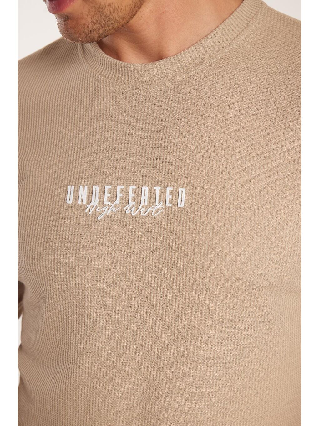 Bej Erkek Standart Fit Pamuklu Düz Basic Bisiklet Yaka Baskılı Taş Tişört-2