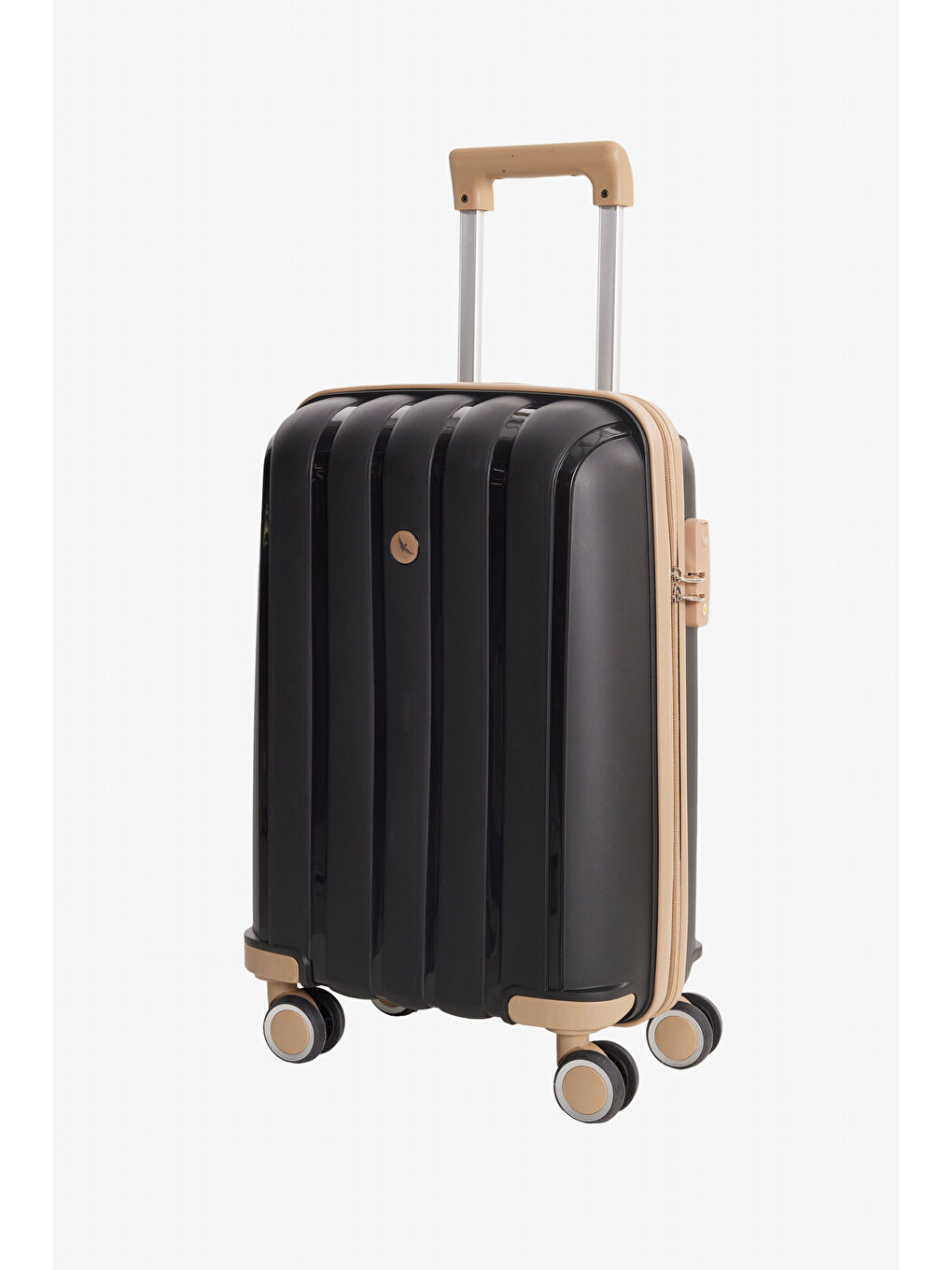 Erkek Siyah Kabin (Küçük) Boy Valiz-1