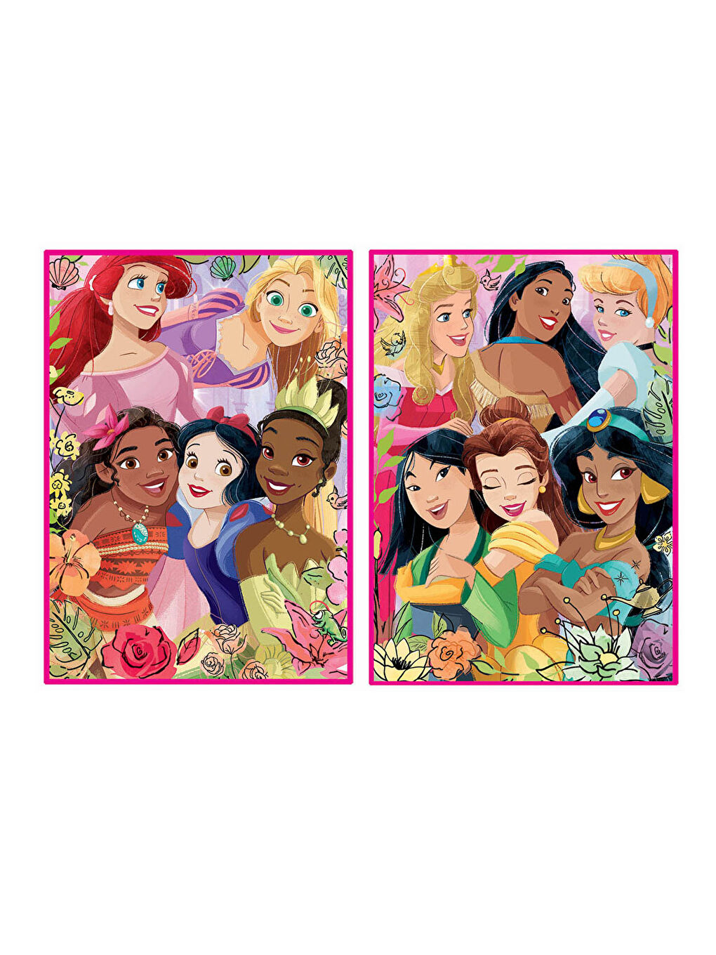 Çocuk Puzzle 2X500 Parça Princess 19253-1