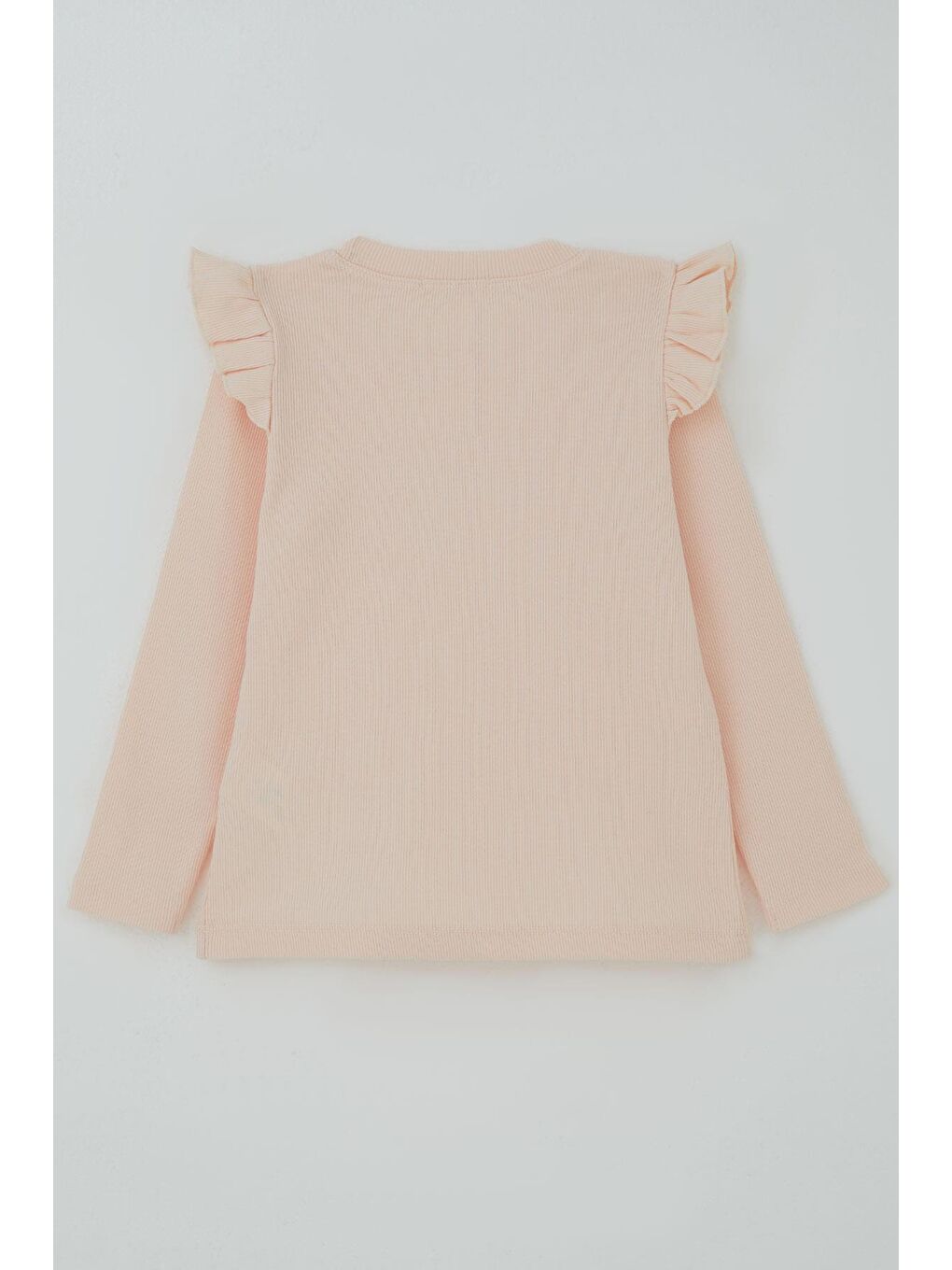 Pembe Kız Çocuk Uzun Kollu Tişört Tavşan Aplike Armalı Çiçekli Pudra (2-6 Yaş)-1