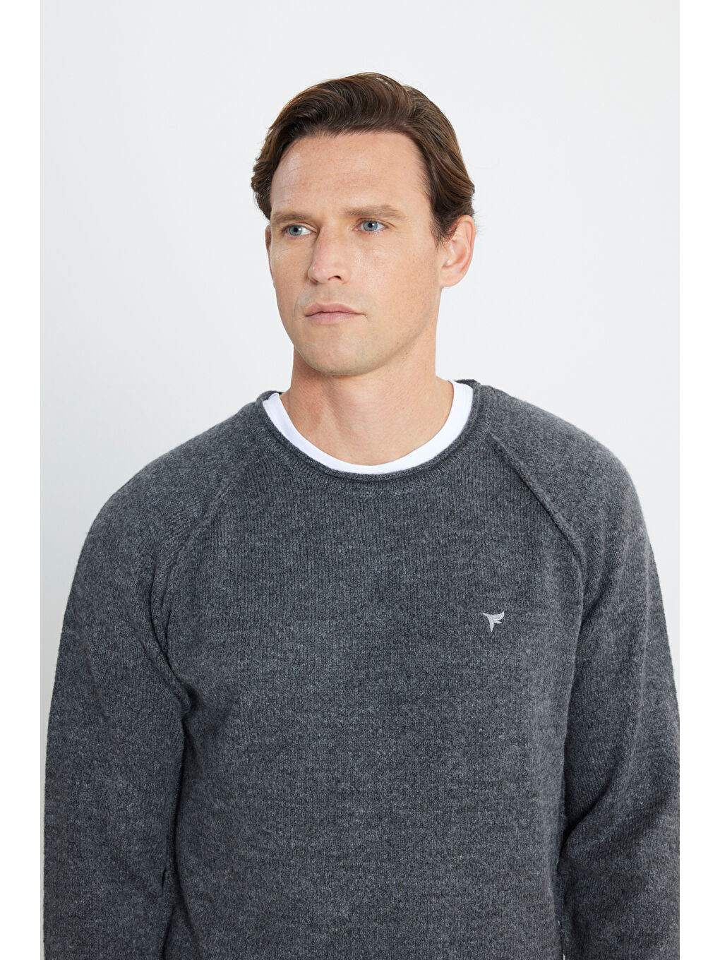 Erkek Antrasit Standart Fit Normal Kesim Bisiklet Yaka Triko Kazak-3