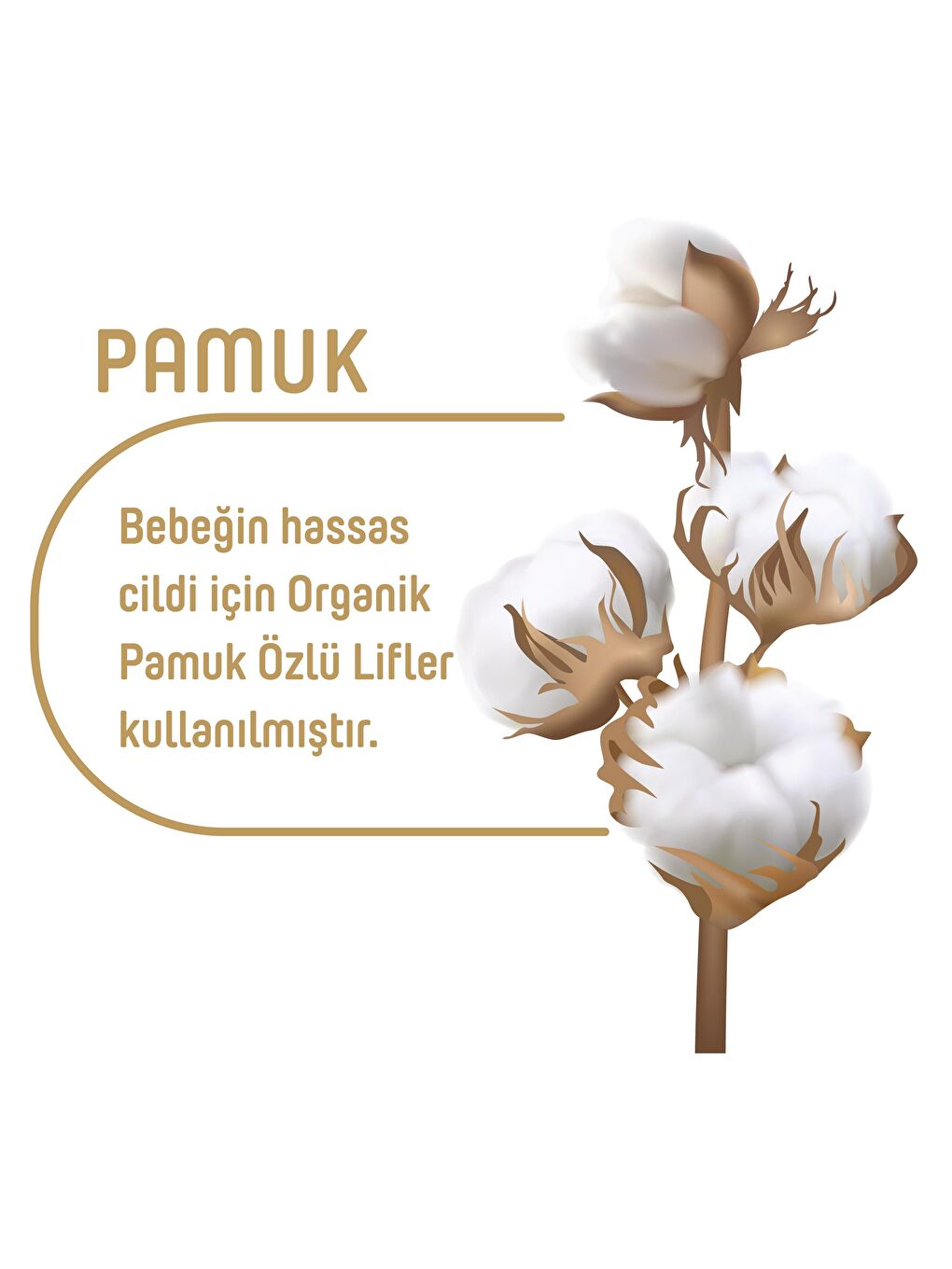 Pure Baby Renksiz Pure Baby Organik Pamuklu Islak Havlu 24×90 (2160 Yaprak) - 2