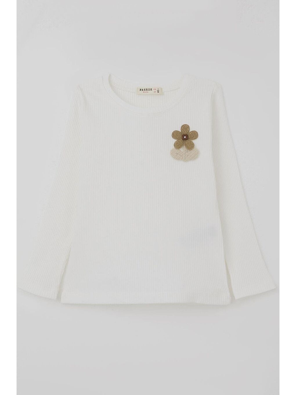 Kız Çocuk Uzun Kollu Tişört Çiçek Arma Detaylı Ekru (3-7 Yaş)-2