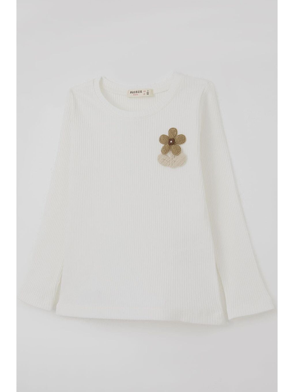 Kız Çocuk Uzun Kollu Tişört Çiçek Arma Detaylı Ekru (3-7 Yaş)-4