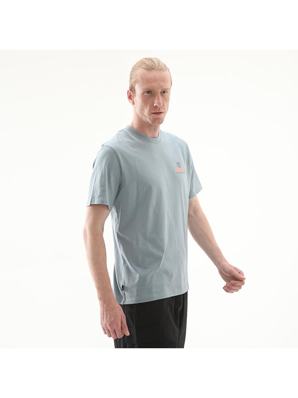 Illustrated Tree Logo Back Graphic Erkek Gri Yuvarlak Yaka Tişört-2