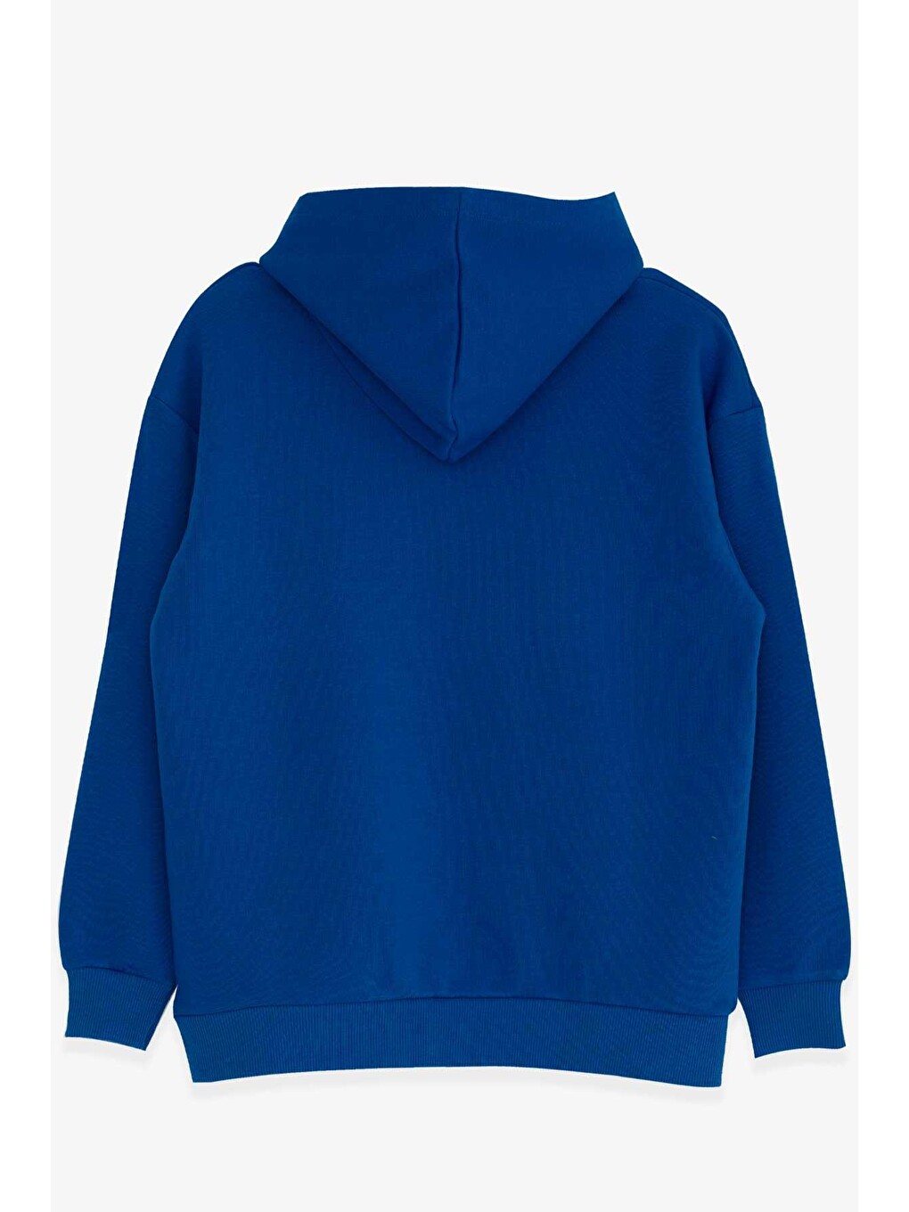 Erkek Çocuk Sweatshirt Nakışlı Yazı Baskılı Saks Mavisi (8-14 Yaş)-1
